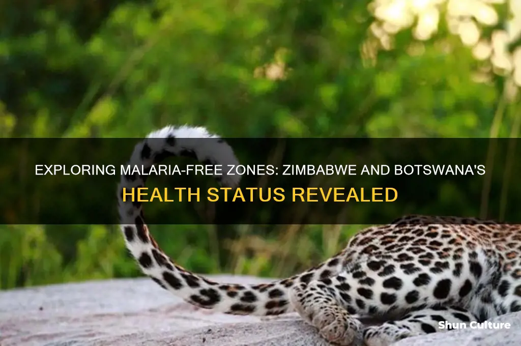 is zimbabwe and botswana malaria free