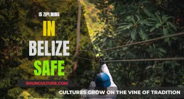 Ziplining in Belize: Adventure, Excitement, and Safety