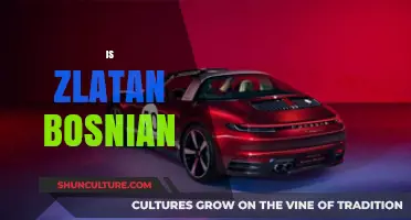 Is Zlatan Bosnian? Unraveling the Footballer's Heritage and Roots