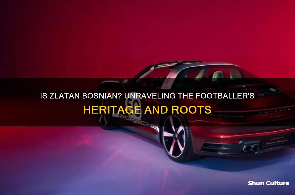 is zlatan bosnian