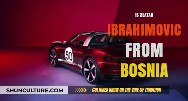 Is Zlatan Ibrahimovic Bosnian? Unraveling the Footballer's Heritage