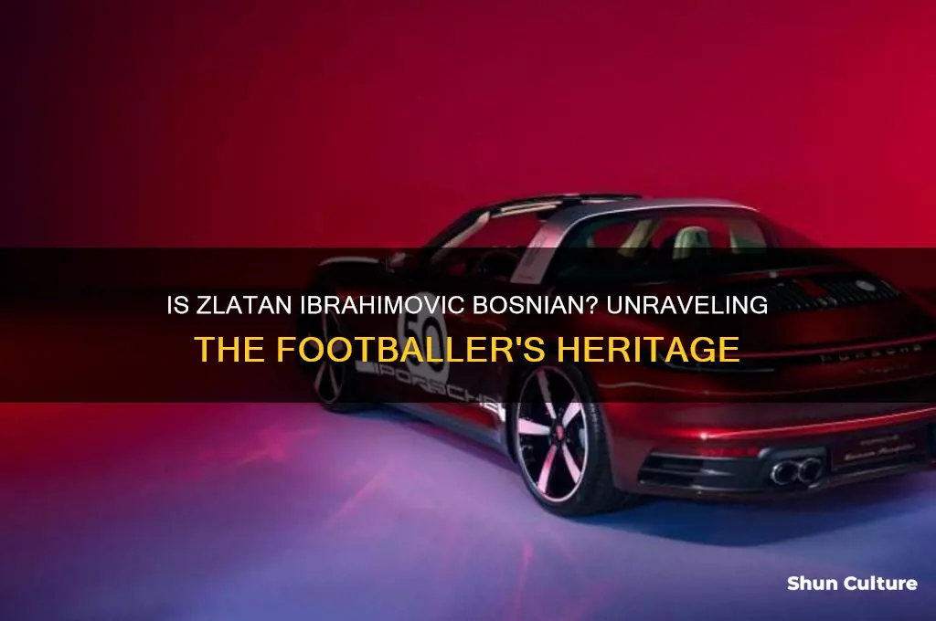 is zlatan ibrahimovic from bosnia