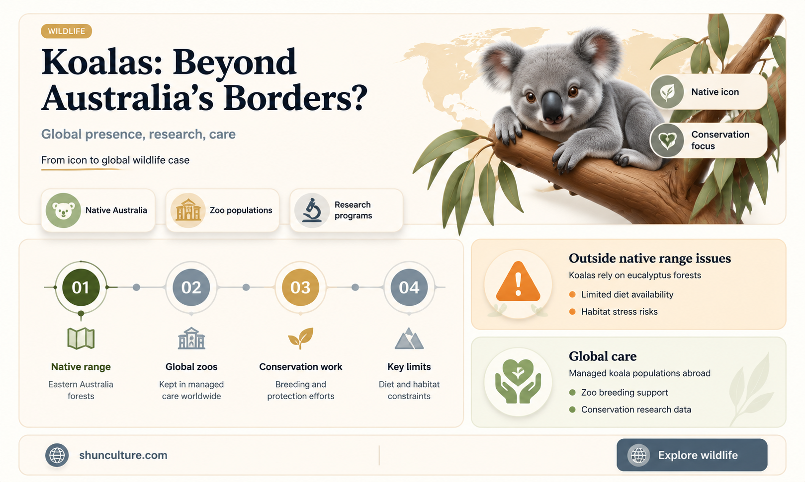 are koalas found outside australia
