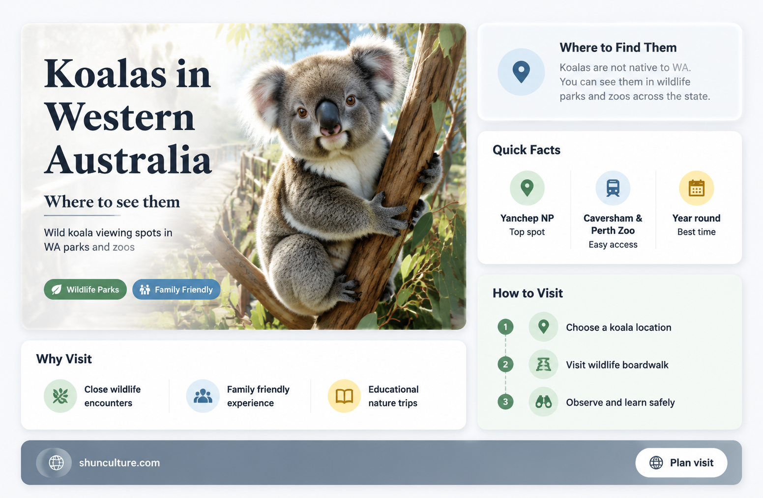 are koalas in western australia