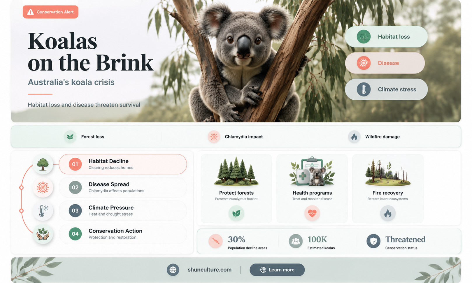 are koalas going to be extinct in australia
