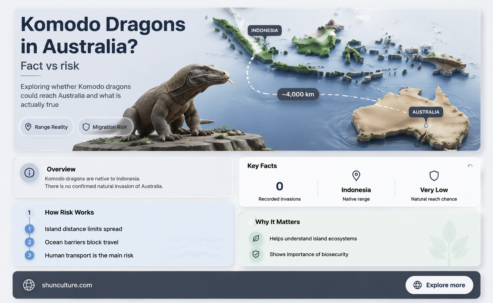 are komodo dragons found in australia