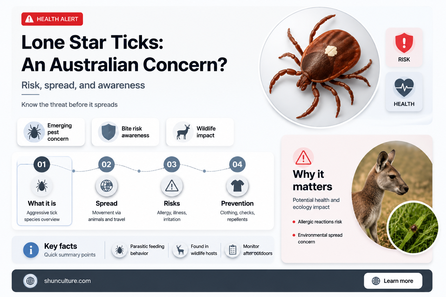 are lone star ticks found in australia
