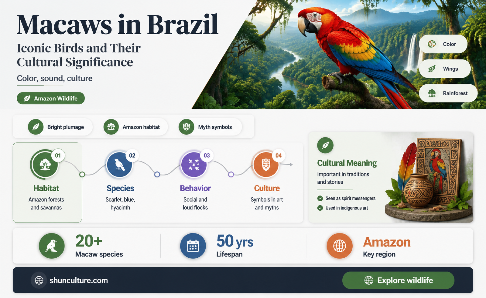 are macaws prominent in brazil