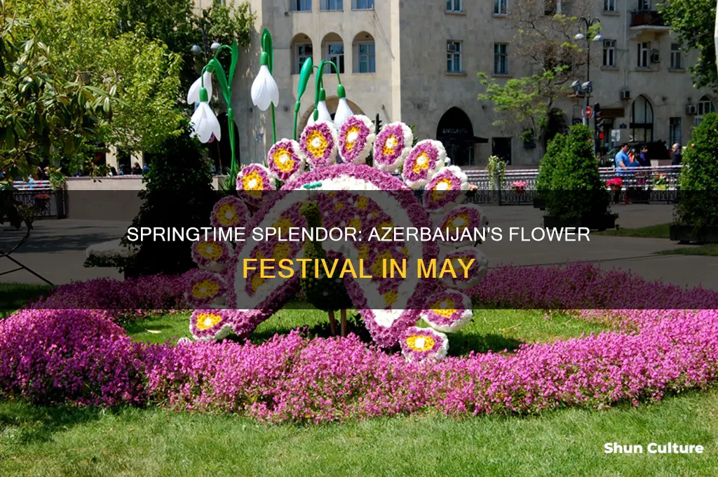 may 10 flower festival azerbaijan