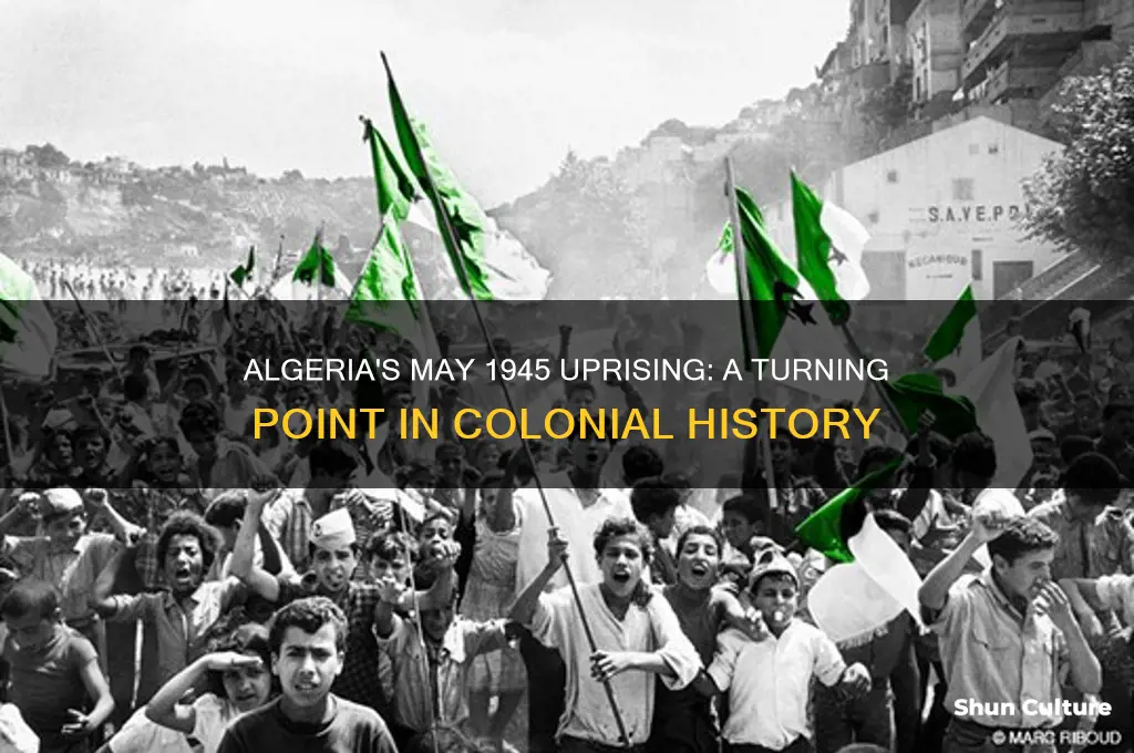 may 1945 algeria