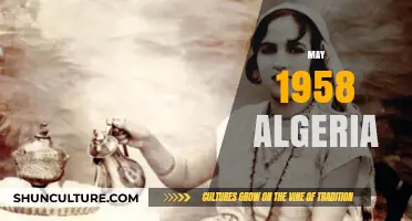 Algeria's May 1958 Crisis: A Turning Point in the War for Independence