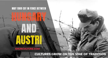 Iron Curtain Cut: Hungary-Austria Fence Incident in May 1989