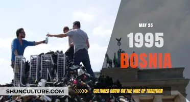 Bosnia's Dark Day: Remembering the Srebrenica Massacre, May 25, 1995