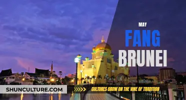 Fang's Influence in Brunei: A Cultural Legacy