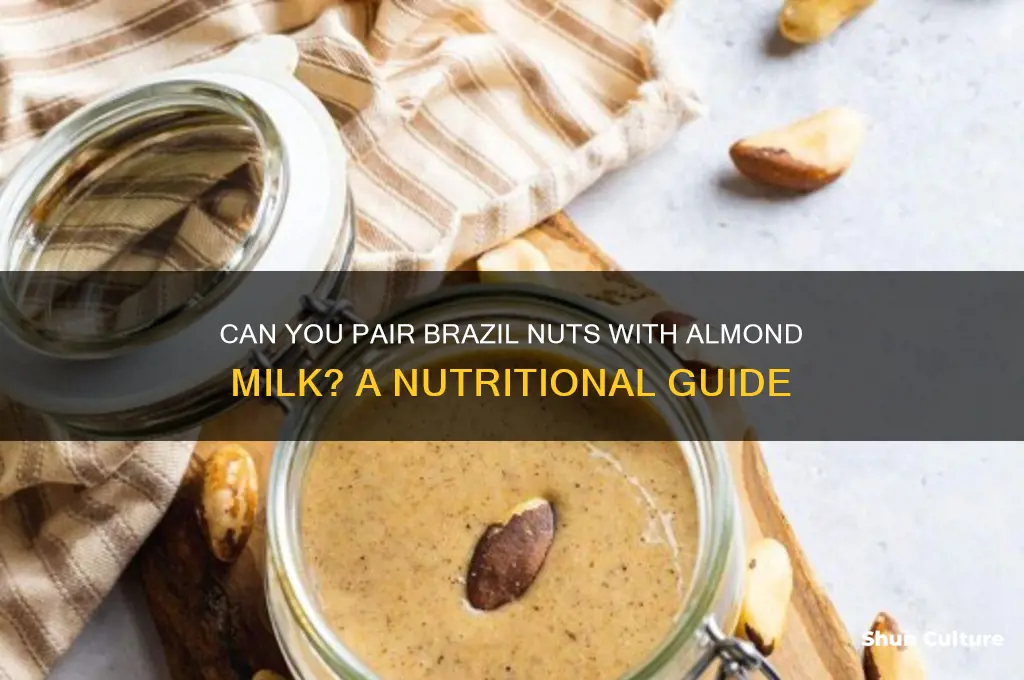 may I eat brazil nut with almond milk