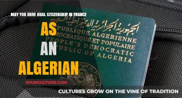 Can Algerians Hold Dual Citizenship in France? Legal Insights Explained