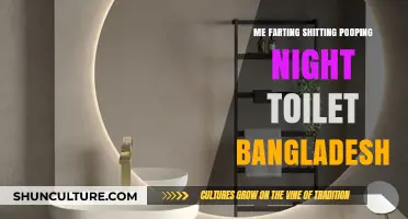 Midnight Toilet Tales: Farting, Pooping, and Shitting in Bangladesh