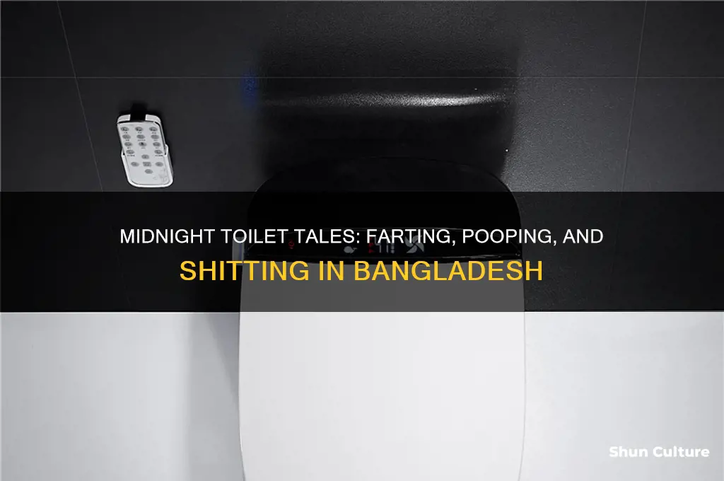 me farting shitting pooping night toilet bangladesh