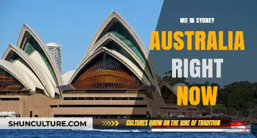 Exploring Sydney: My Current Adventures in Australia's Iconic City