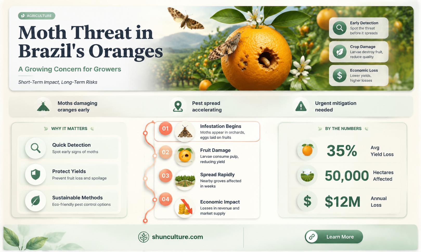 are brazil orange groves effected by moth