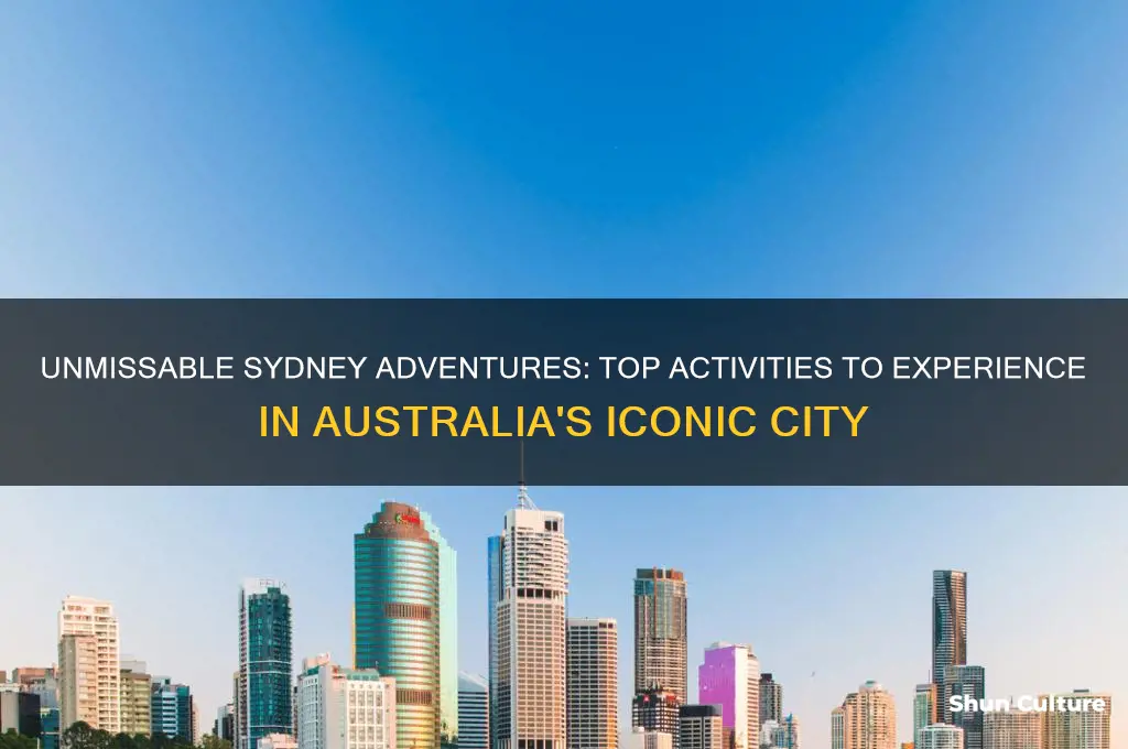 must do activities in sydney australia