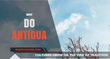 Unmissable Antigua Adventures: Your Ultimate Must-Do Travel Guide