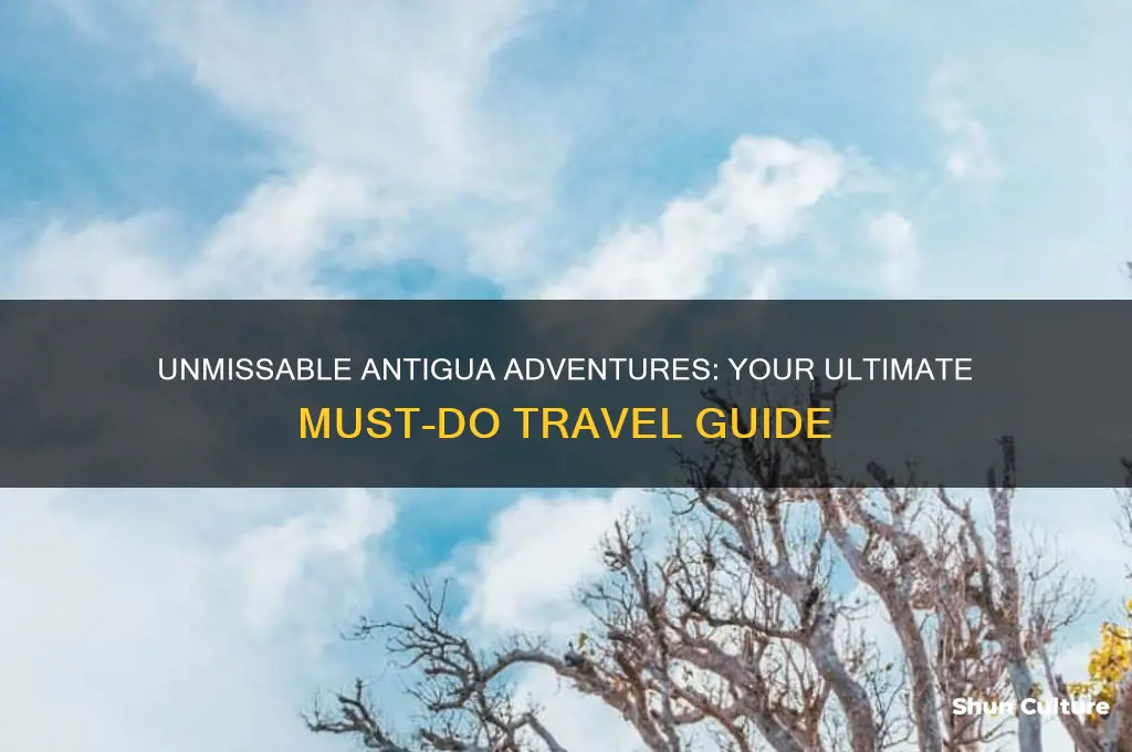 must do antigua