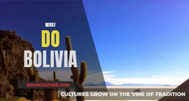 Bolivia's Ultimate Adventure: Discovering the Country's Must-Do Activities