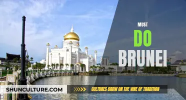 Unmissable Brunei: Top Attractions and Experiences