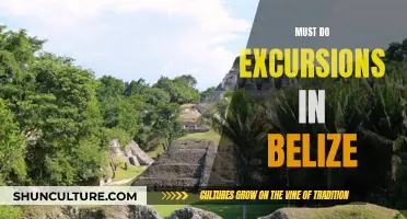 Belize's Ultimate Adventures: Exploring the Country's Must-Do Excursions