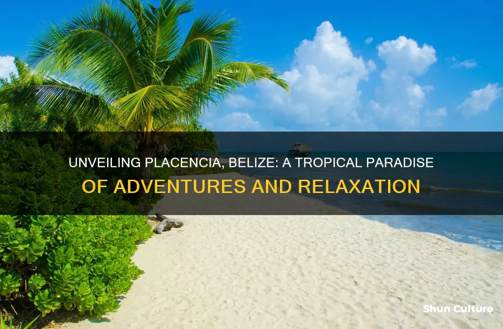 must do placencia belize