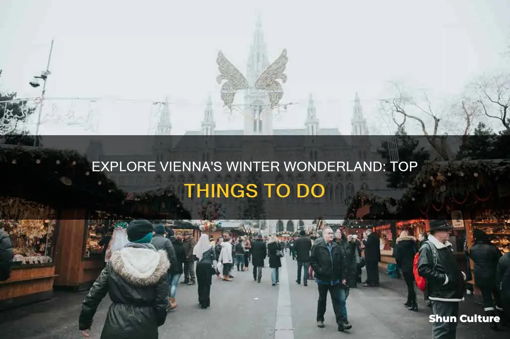 must do things in vienna austria during winter