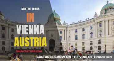 Exploring Vienna: Top Attractions and Must-Do Activities