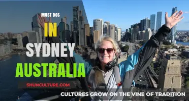Sydney's Top Must-Do Experiences: Iconic Adventures in Australia's Harbor City