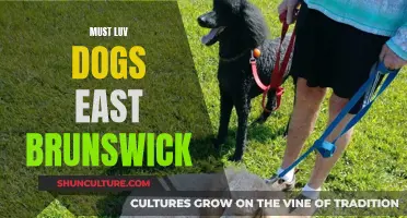Luv Dogs East Brunswick: A Canine Paradise
