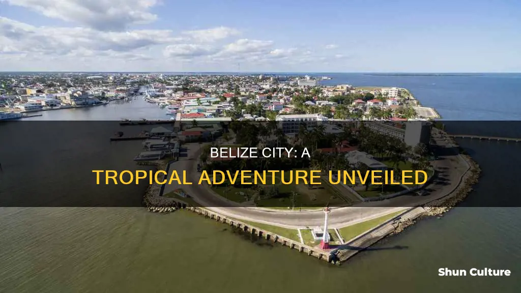 must see and do belize city