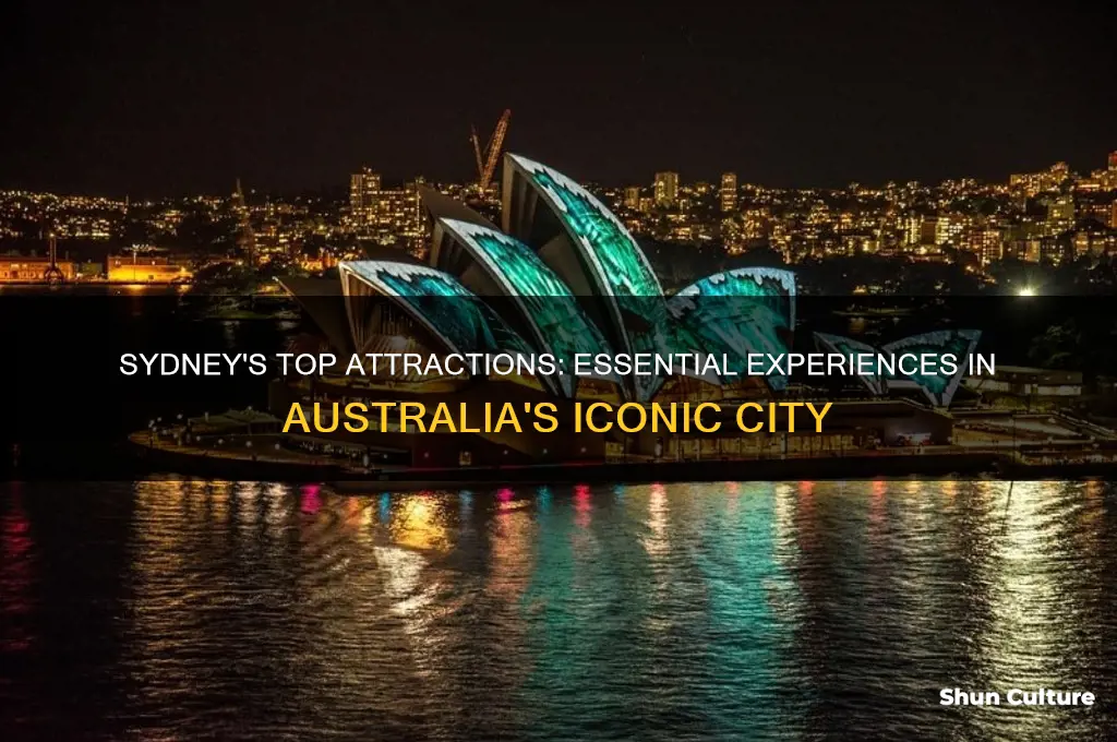 must see and do in sydney australia