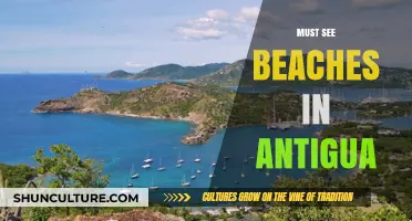 Discover Antigua's Stunning Beaches: A Tropical Paradise Guide