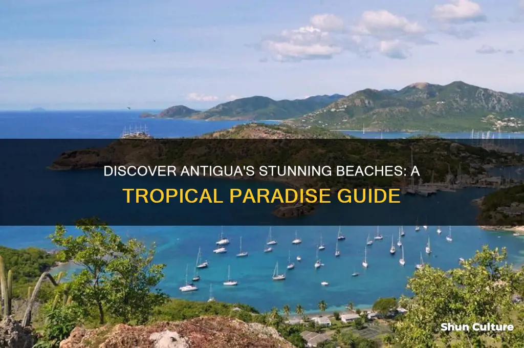 must see beaches in antigua