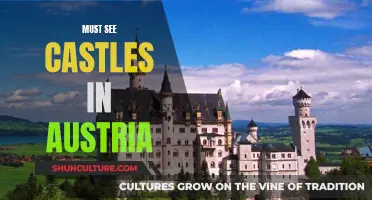 Austria's Majestic Castles: A Traveler's Guide