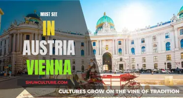 Vienna's Must-See Attractions: A Traveler's Guide