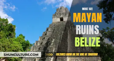 Unveiling the Ancient Secrets: Exploring the Must-See Mayan Ruins in Belize