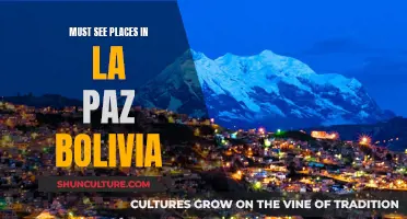 Exploring La Paz, Bolivia: A Traveler's Dream Itinerary