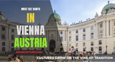 Vienna's Iconic Sights: A Traveler's Guide