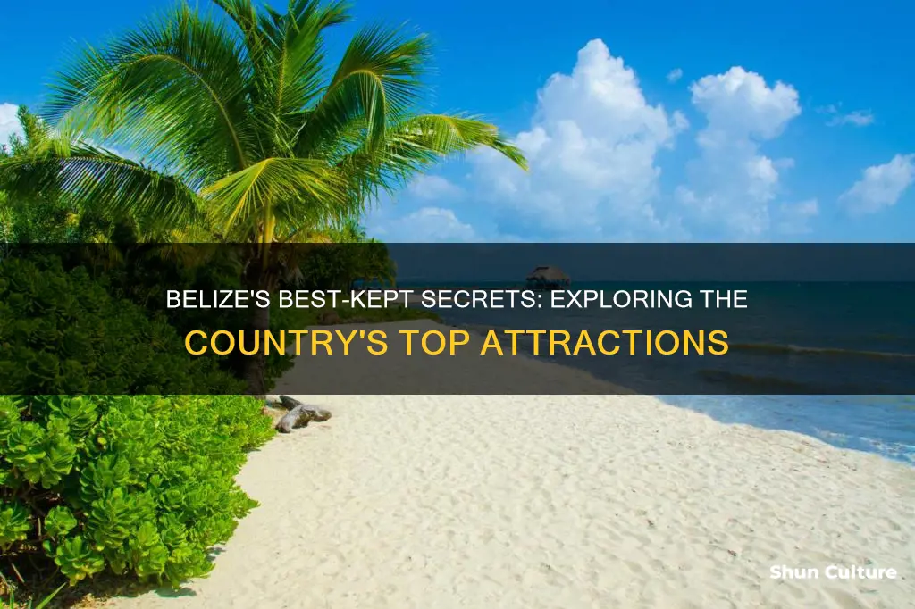 must see sites in belize