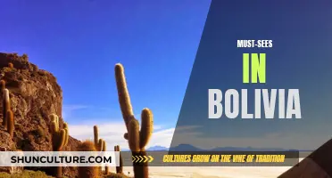 Discover Bolivia's Unmissable Attractions and Secrets