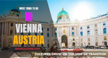 Exploring Vienna: Top Attractions and Must-Dos