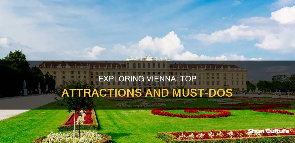 must thing to do in vienna austria