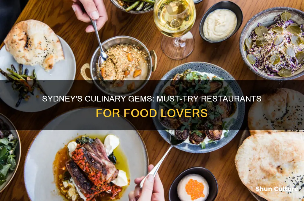 must try restaurants in sydney australia
