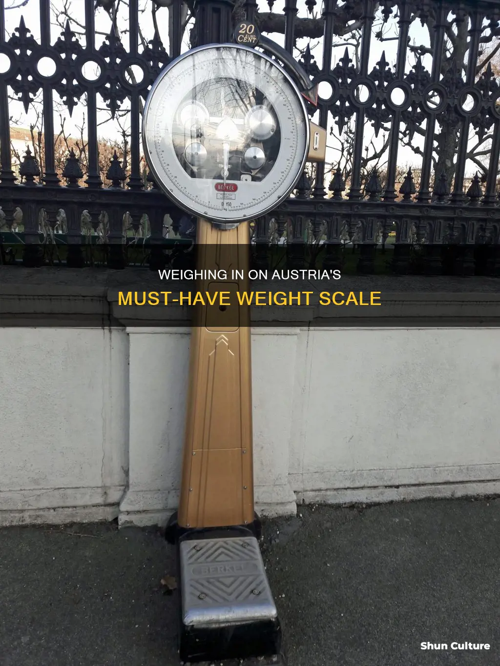 must weight scale austria